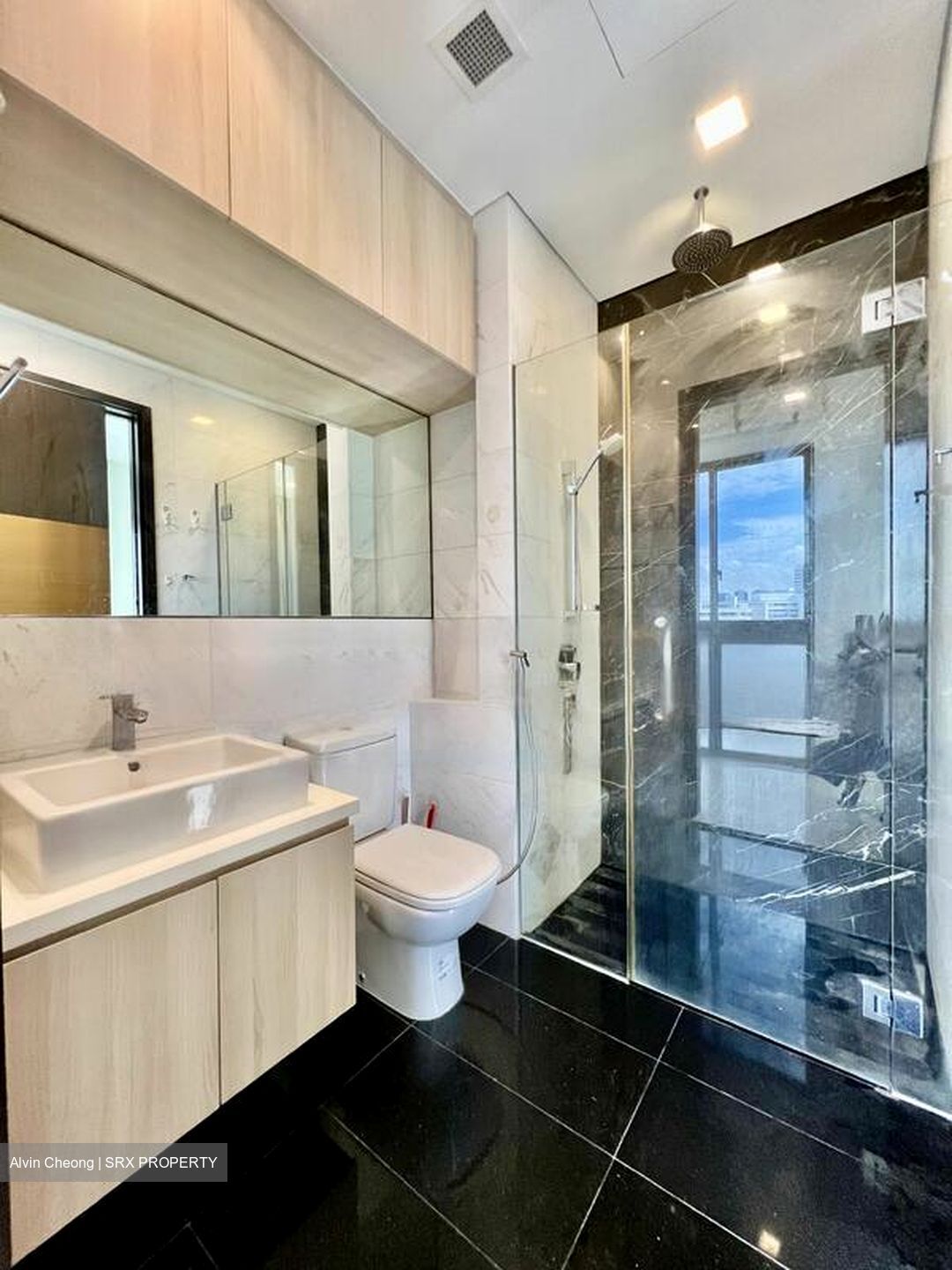 Harbour Suites (D4), Apartment #458931751